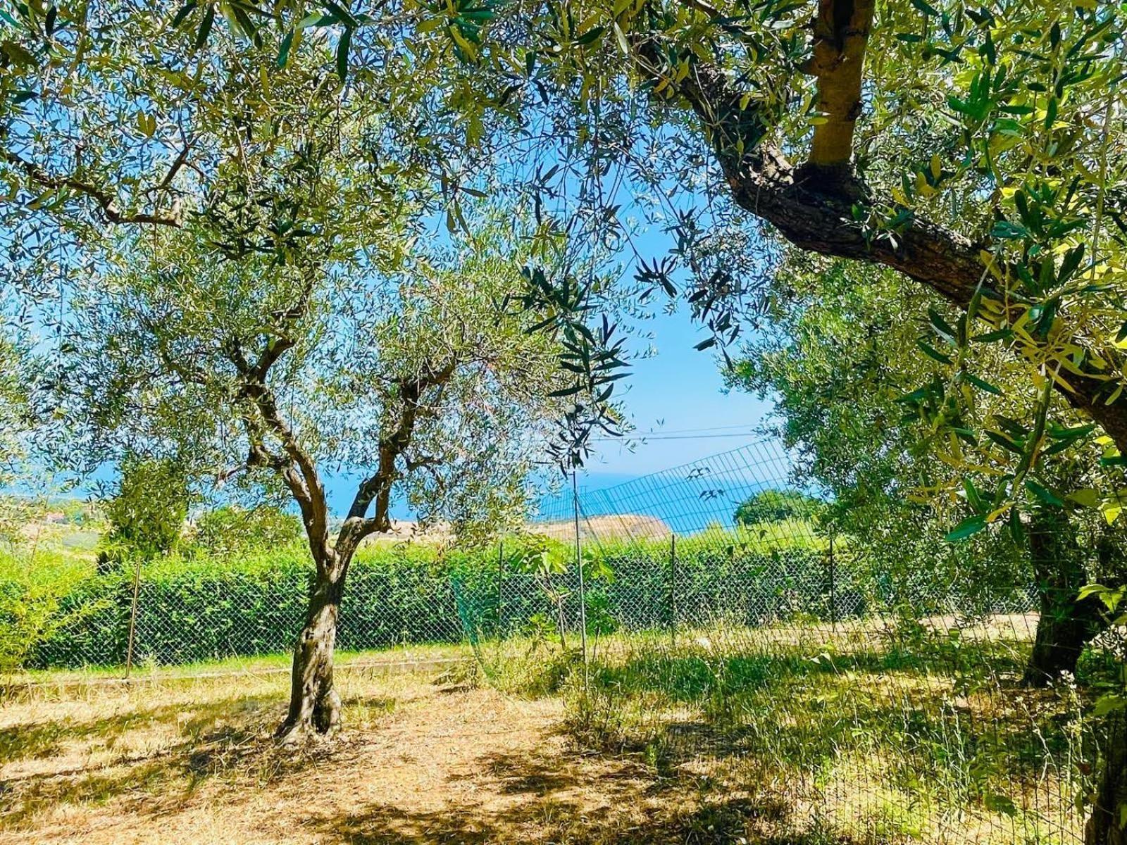 Villa In Collina Vista Mare Roseto Degli Abruzzi Exterior photo